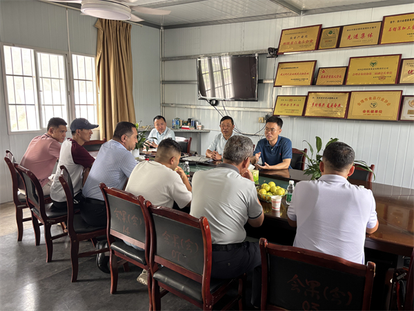 1752471231750462.jpg 2.jpg