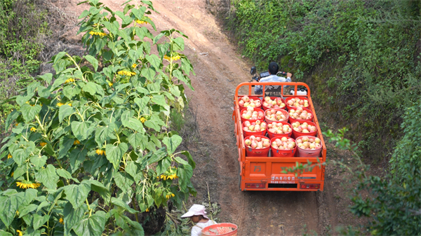 1758161429616237.png 圖片3.png