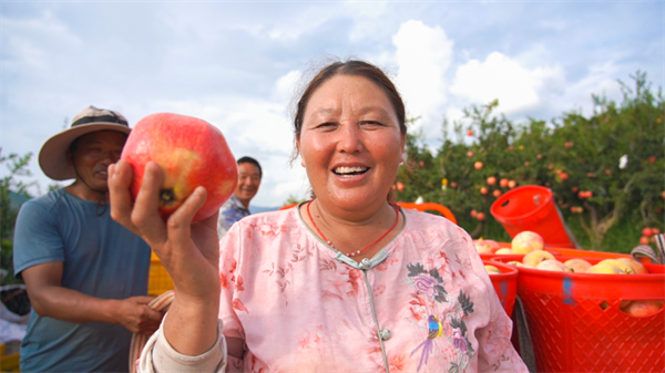 1758161433205342.png 圖片4.png